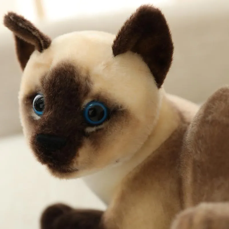 20-45CM Cat Plush Toys American Shorthai Siamese Ragdoll Stuffed Doll Lifelike Animal Toy For Children Home Decor Baby Gift