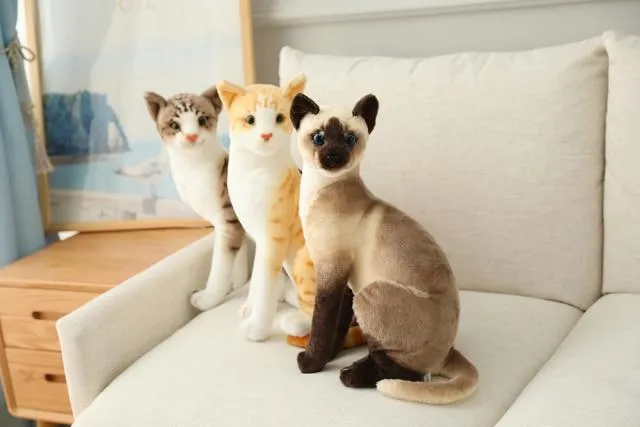 20-45CM Cat Plush Toys American Shorthai Siamese Ragdoll Stuffed Doll Lifelike Animal Toy For Children Home Decor Baby Gift