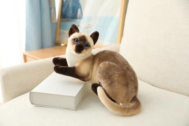 20-45CM Cat Plush Toys American Shorthai Siamese Ragdoll Stuffed Doll Lifelike Animal Toy For Children Home Decor Baby Gift