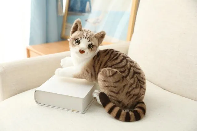 20-45CM Cat Plush Toys American Shorthai Siamese Ragdoll Stuffed Doll Lifelike Animal Toy For Children Home Decor Baby Gift