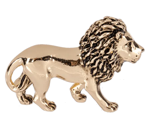 Be Brave and Courageous Lion Charms Pocket Tokens