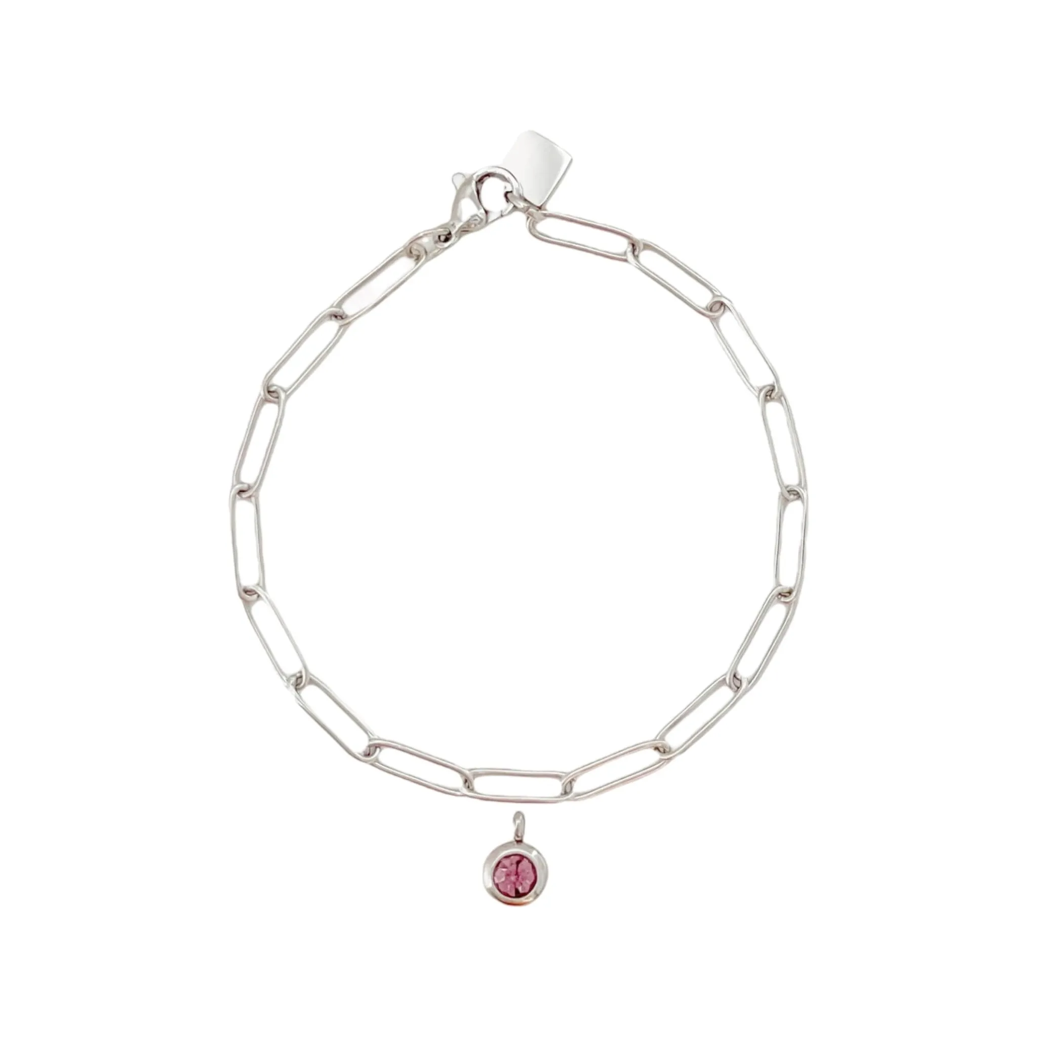 Birthstone Paperclip Bracelet (Jan-June)