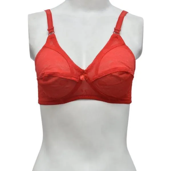 Full Net Matching Color Fancy Bra For Women