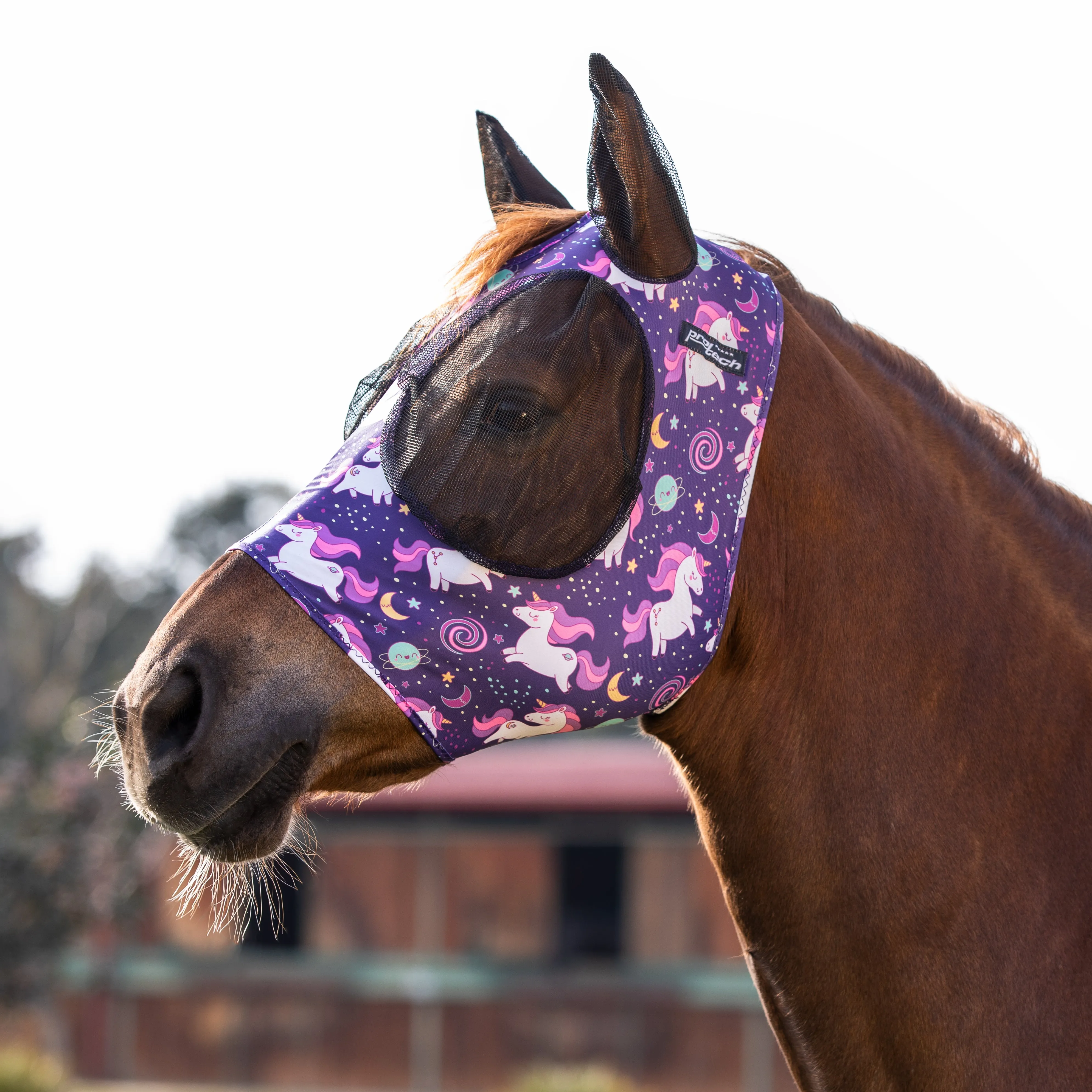 Lycra Anti-Fly Mask with Ear Cover Net