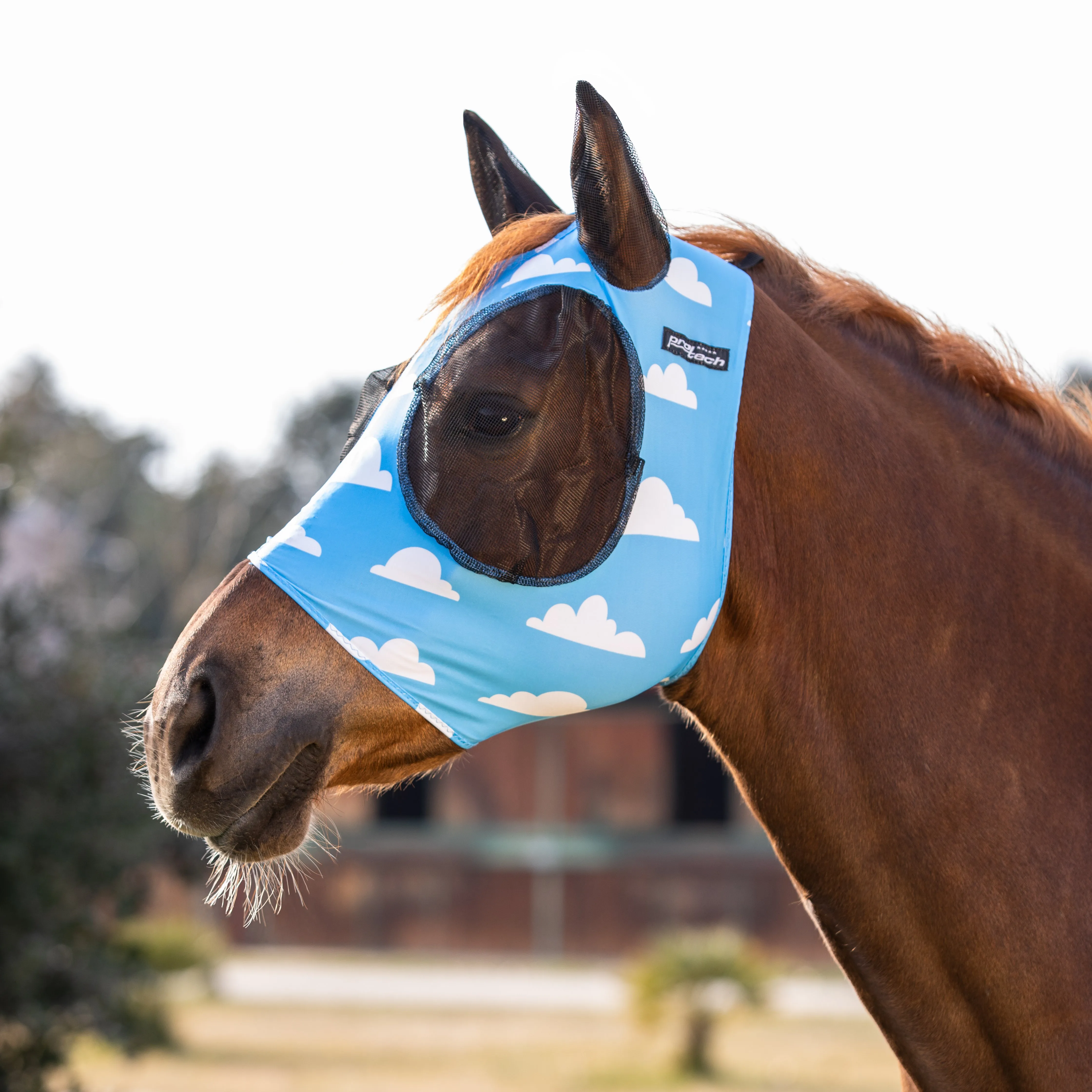 Lycra Anti-Fly Mask with Ear Cover Net