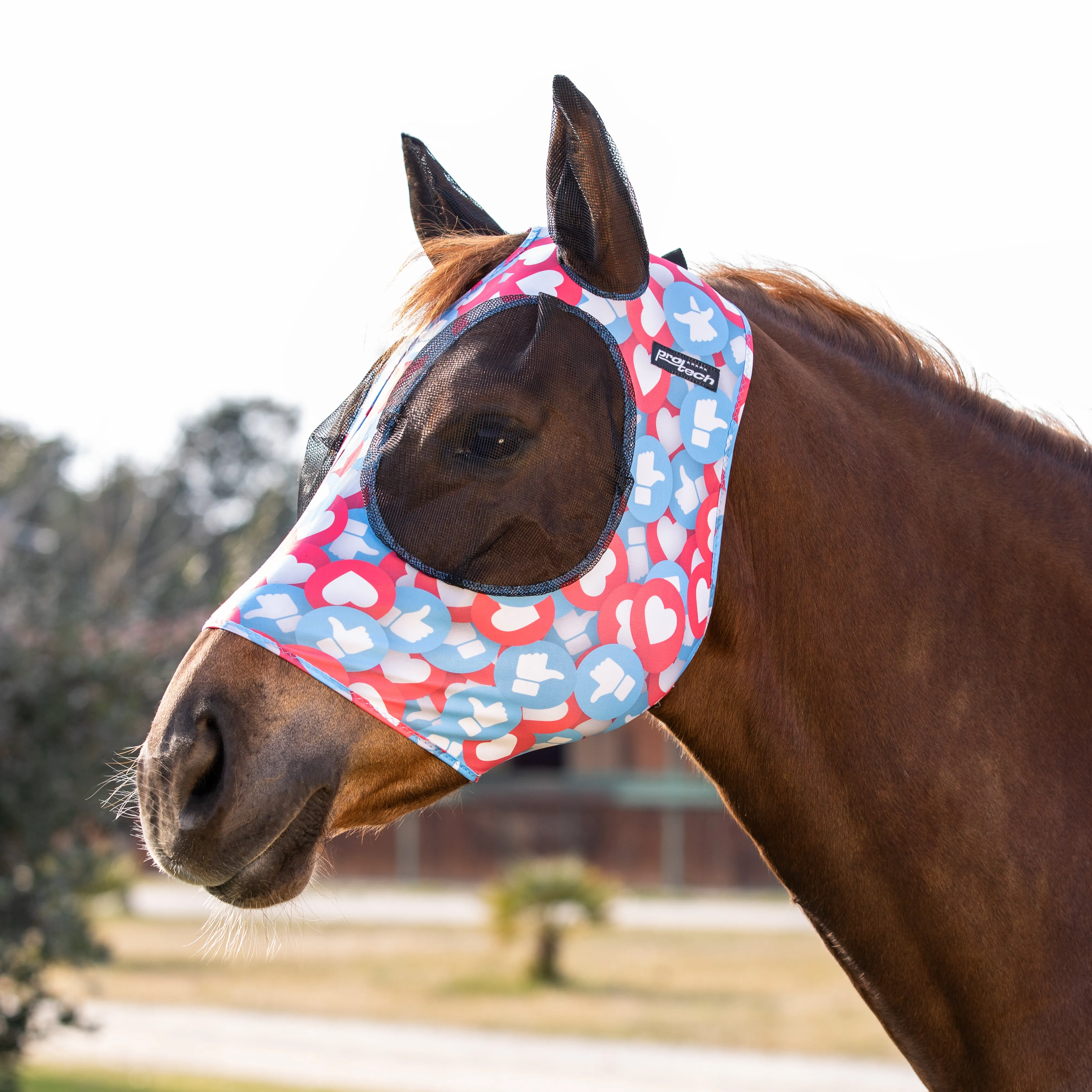 Lycra Anti-Fly Mask with Ear Cover Net