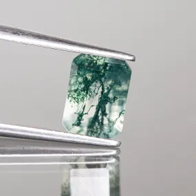 Moss agate |   octagon cut, 8x6 mm - choose yours