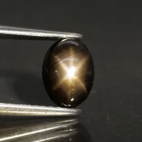 Sapphire | black, star effect, oval cut 7.5x5.5mm, 1.20ct